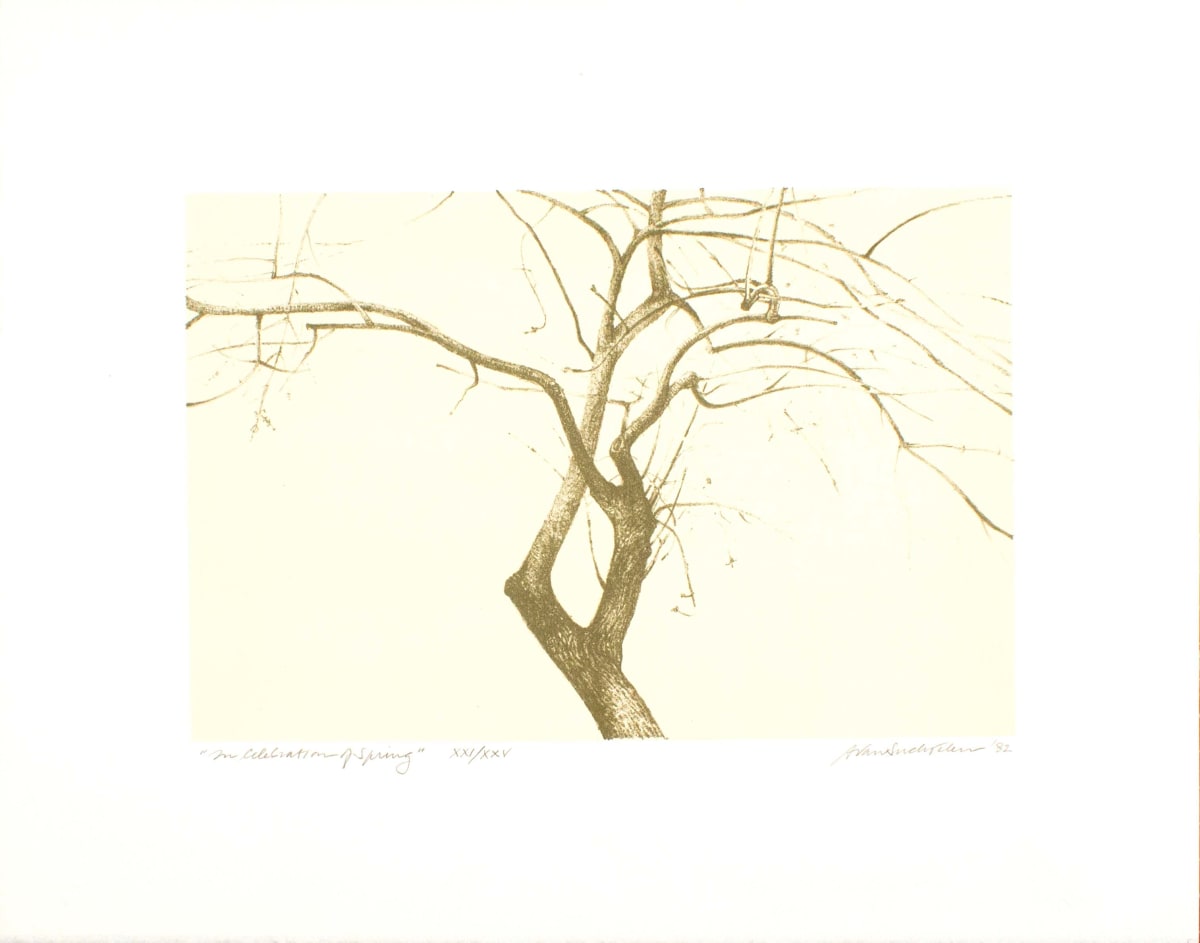 In Celebration of Spring by Adrian Van Suchtelen, Image 1.
