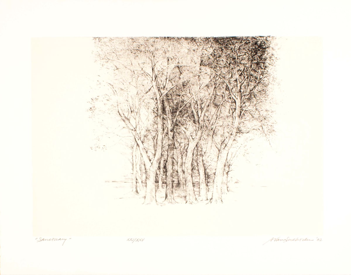Sanctuary by Adrian Van Suchtelen, Image 1.