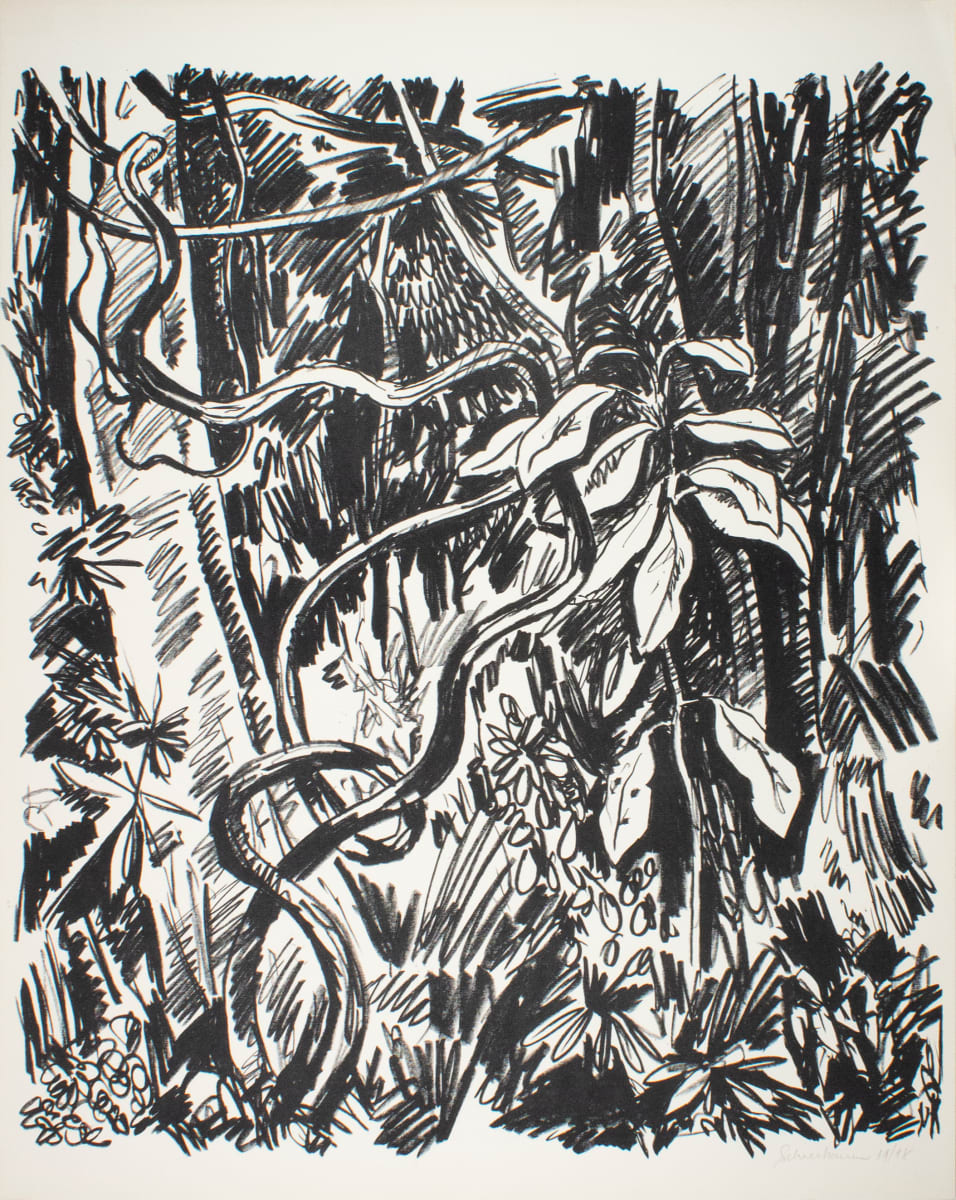 Jungle by Tobias Schneebaum, Image 1.