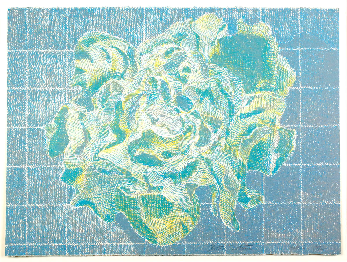 Boston Lettuce by Laura Grosch, Image 1.