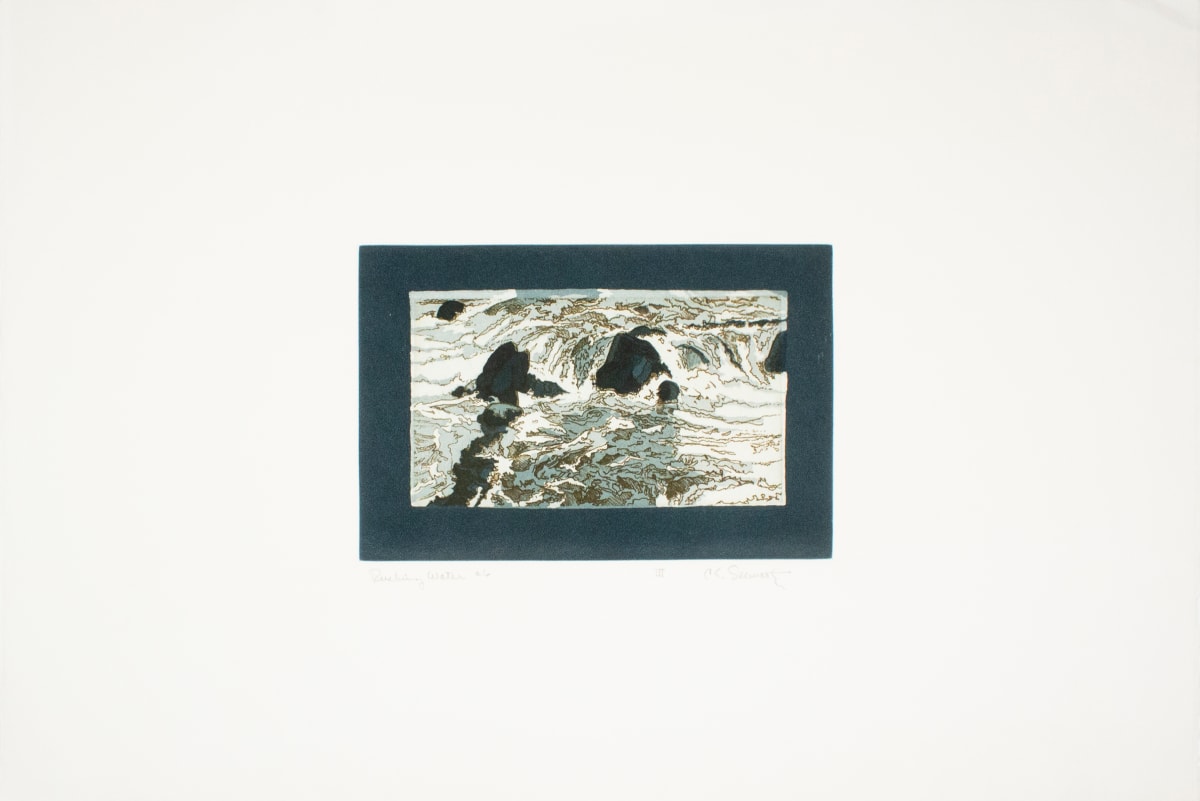 Rushing Water a6 by Carl Schwartz, Image 1.