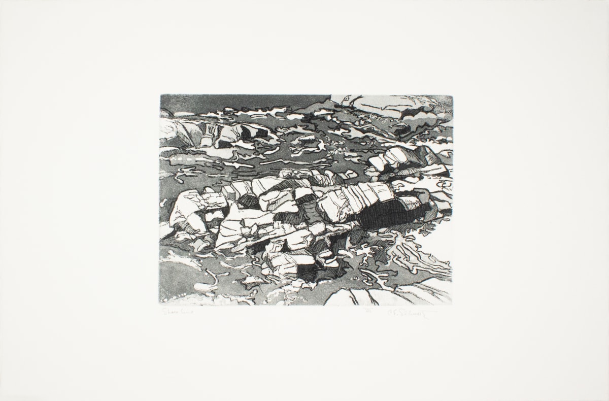 Shoreline by Carl Schwartz, Image 1.