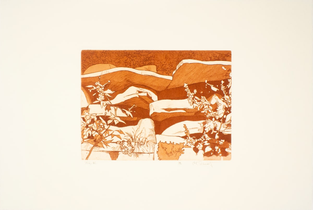 RG aXII by Carl Schwartz, Image 1.