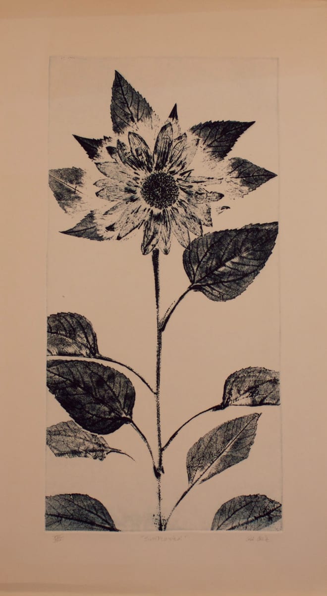 Sunflower by Robert Cale 