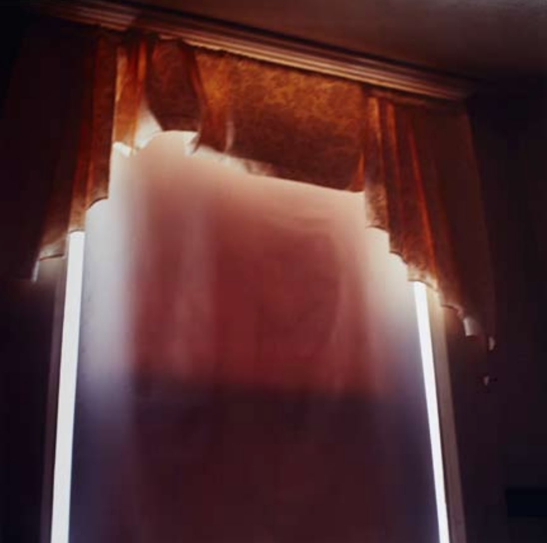 Untitled (30714), from the series Insula by Saul Robbins 
