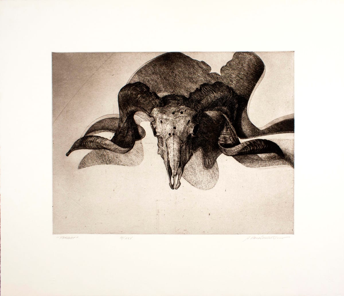 Target by Adrian Van Suchtelen, Image 1.