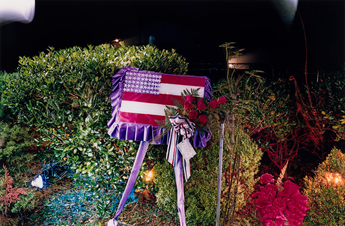 Plate 10 (from Graceland) by William Eggleston 