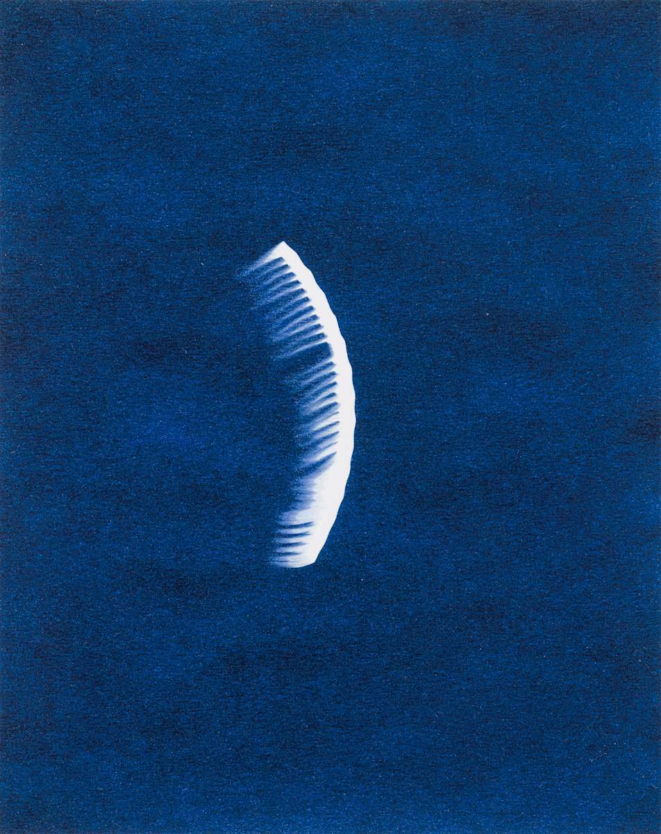 A-Bombed Comb, Hiroshima, from After Hiroshima by elin o'Hara slavick, Image 1.