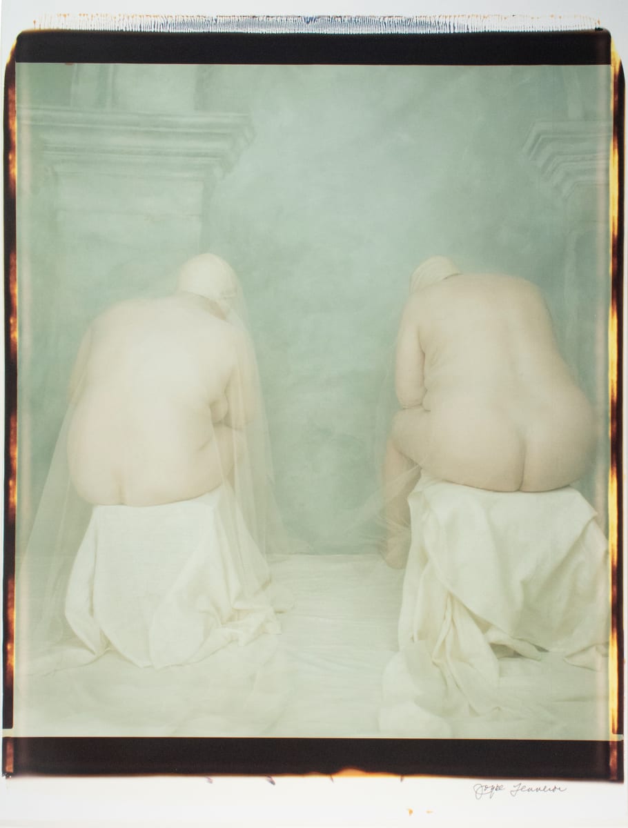 Untitled (from "Photographs of Women") by Joyce Tenneson 