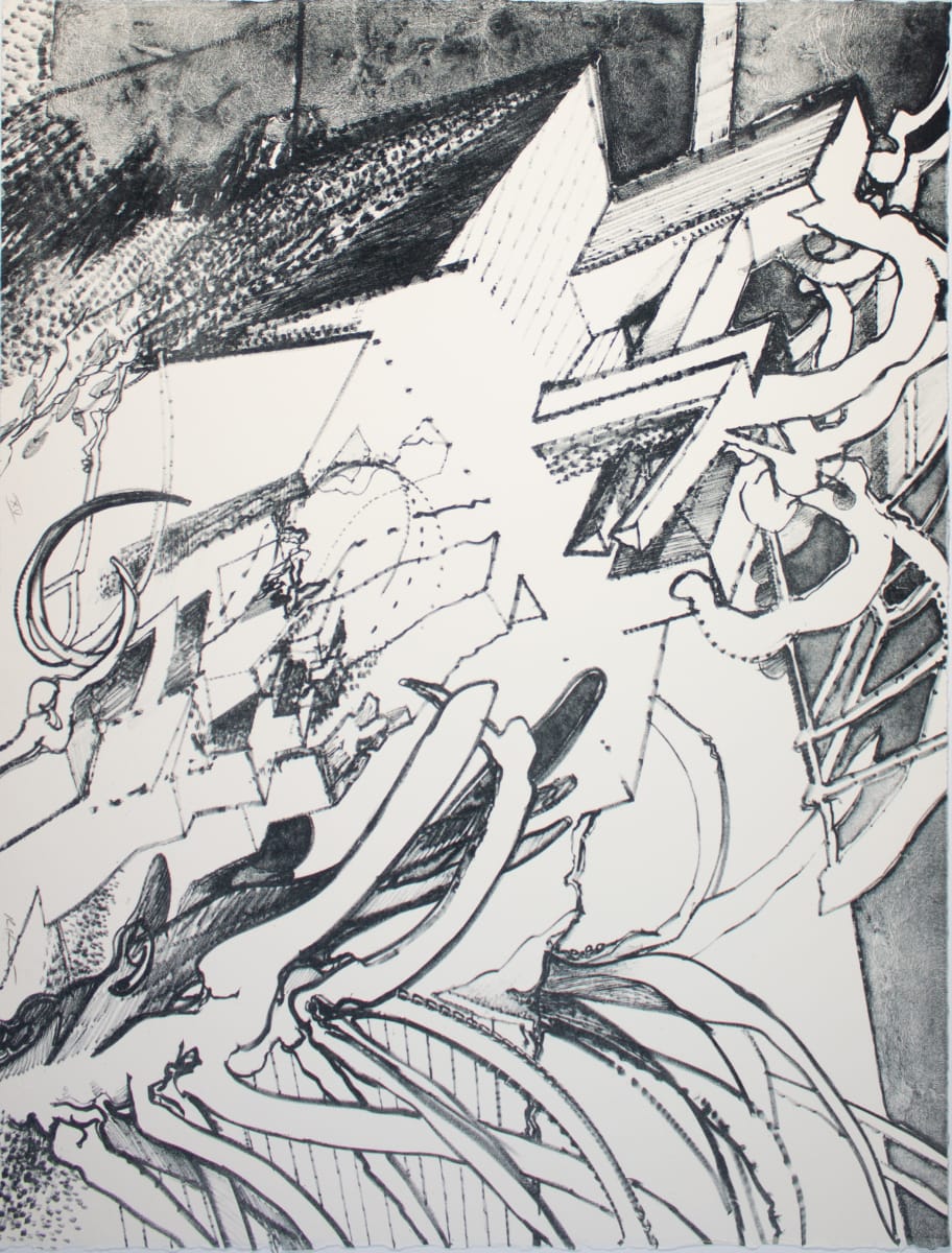 Untitled RH 879B by Richard Howard Hunt, Image 1.
