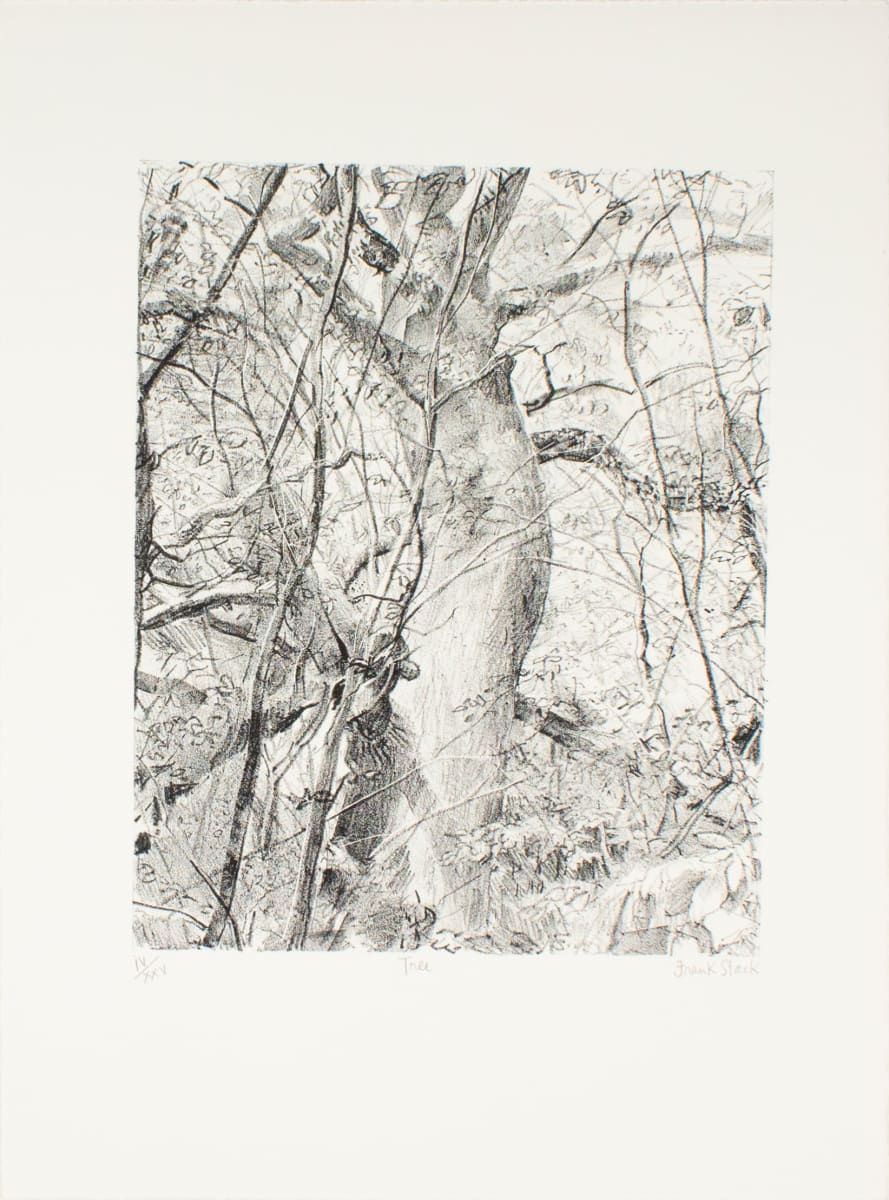 Tree by Frank Huntington Stack, Image 1.