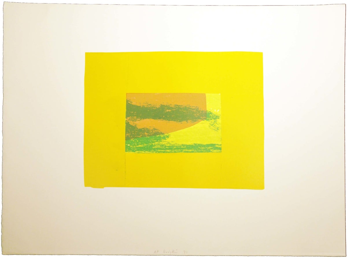 Indian View F by Howard Hodgkin 