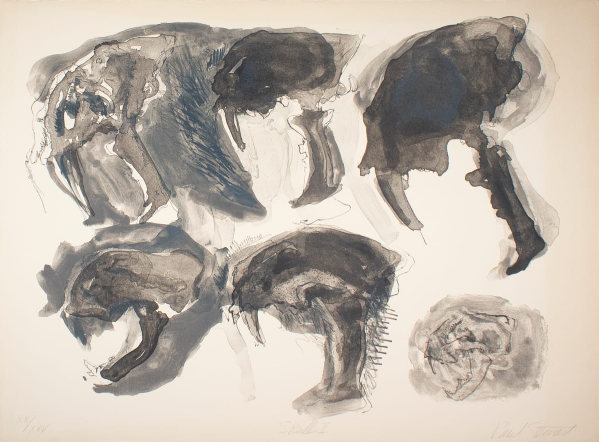 Skulls II by Paul Stewart, Image 1.