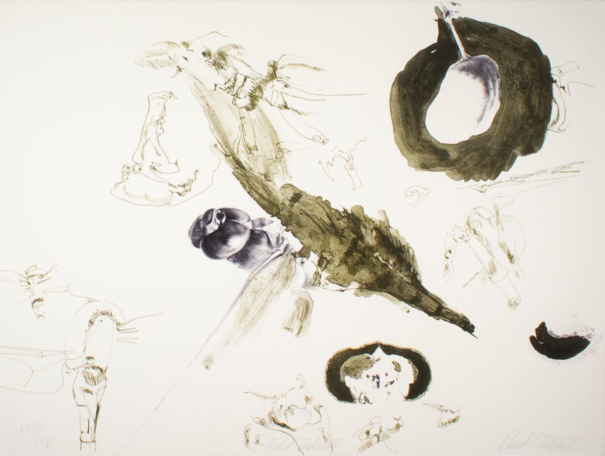 Field Studies VIII by Paul Stewart, Image 1.