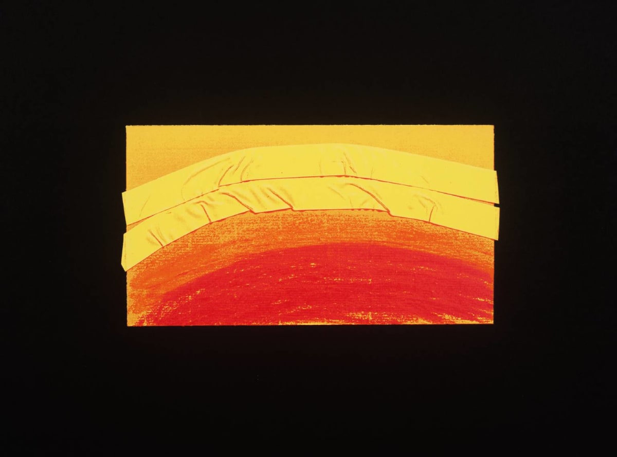 Indian View J by Howard Hodgkin, Image 1.
