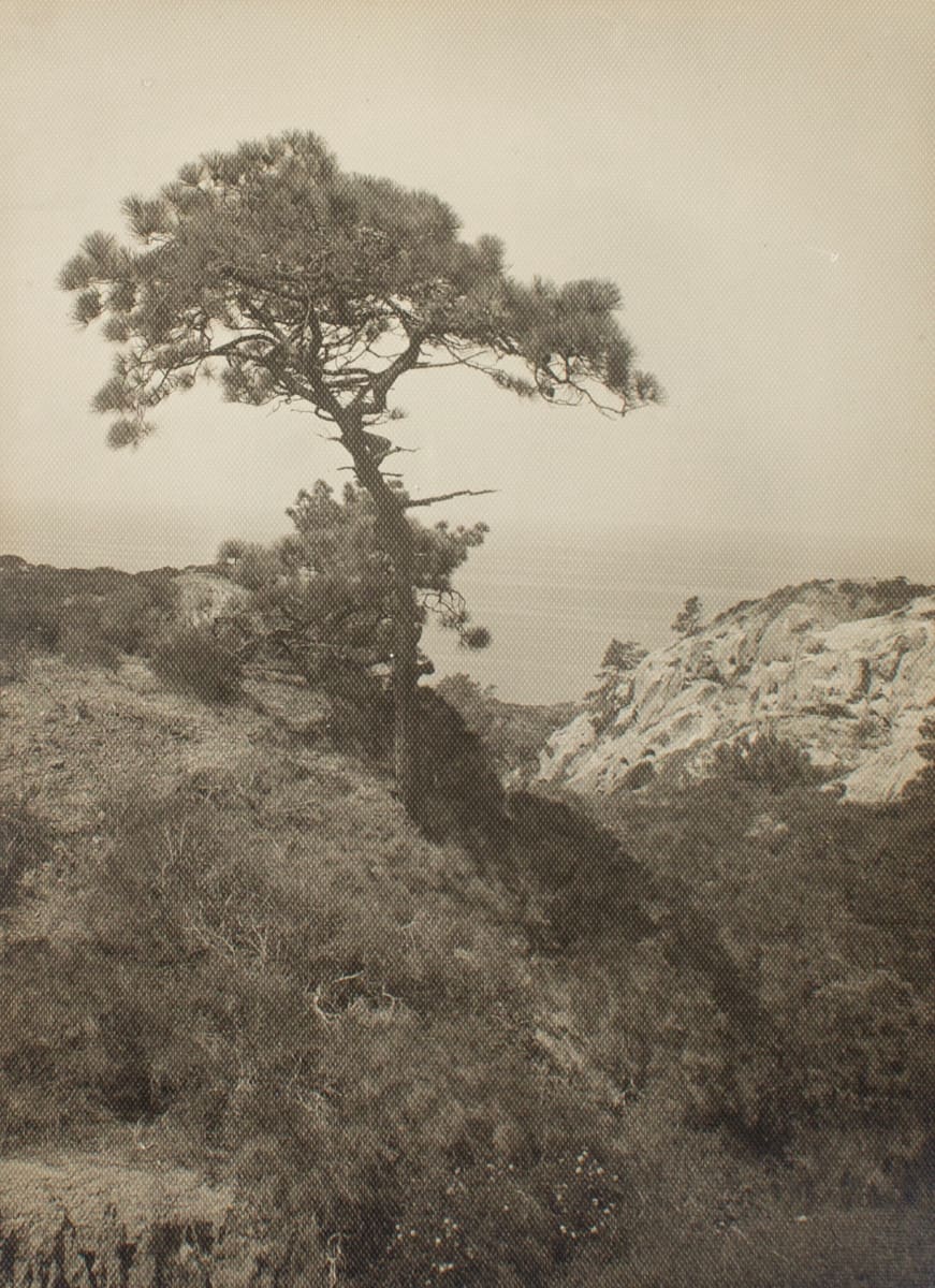 Untitled by Leopold Hugo, Image 3.