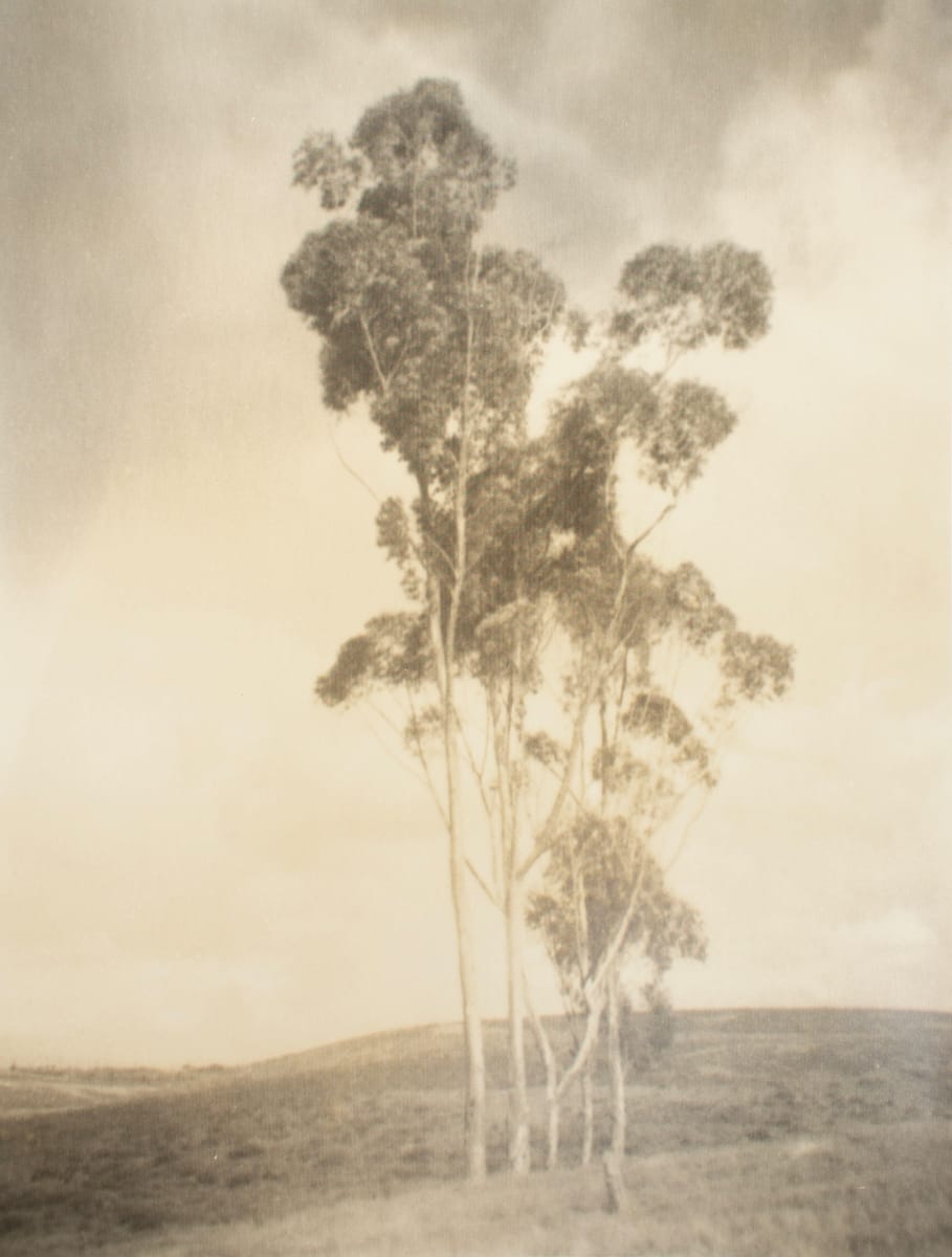 Untitled by Leopold Hugo, Image 2.