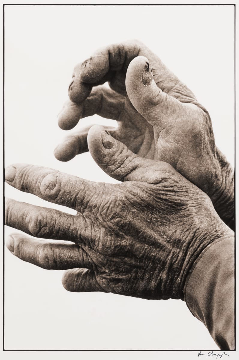 Hands by Ron Chapple 