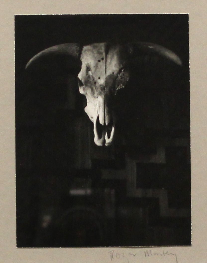 Skull by Roger Manley 