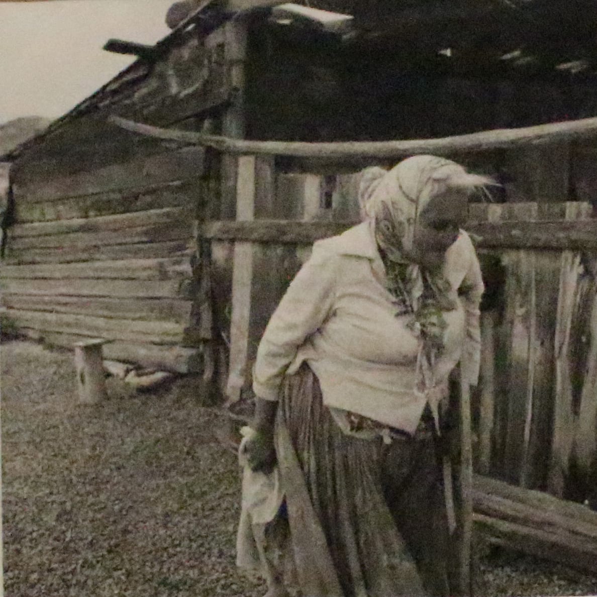 Mildred Big Legs Benally by Roger Manley, Image 1.