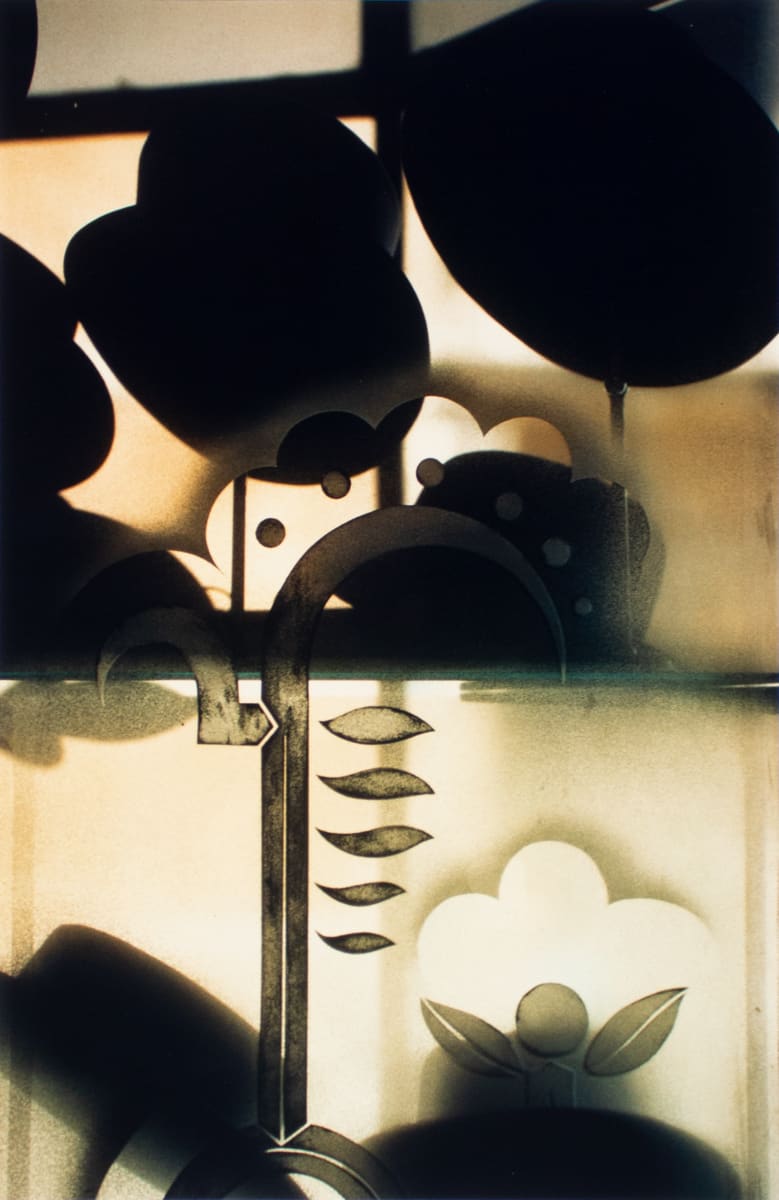 Untitled (Hats in Window), Rome by Ralph Gibson 