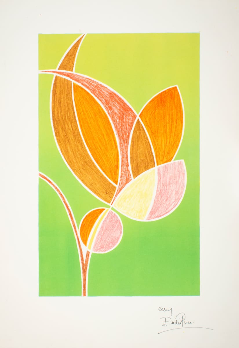 Fiore Noterno by Emilio Pucci, Image 1.