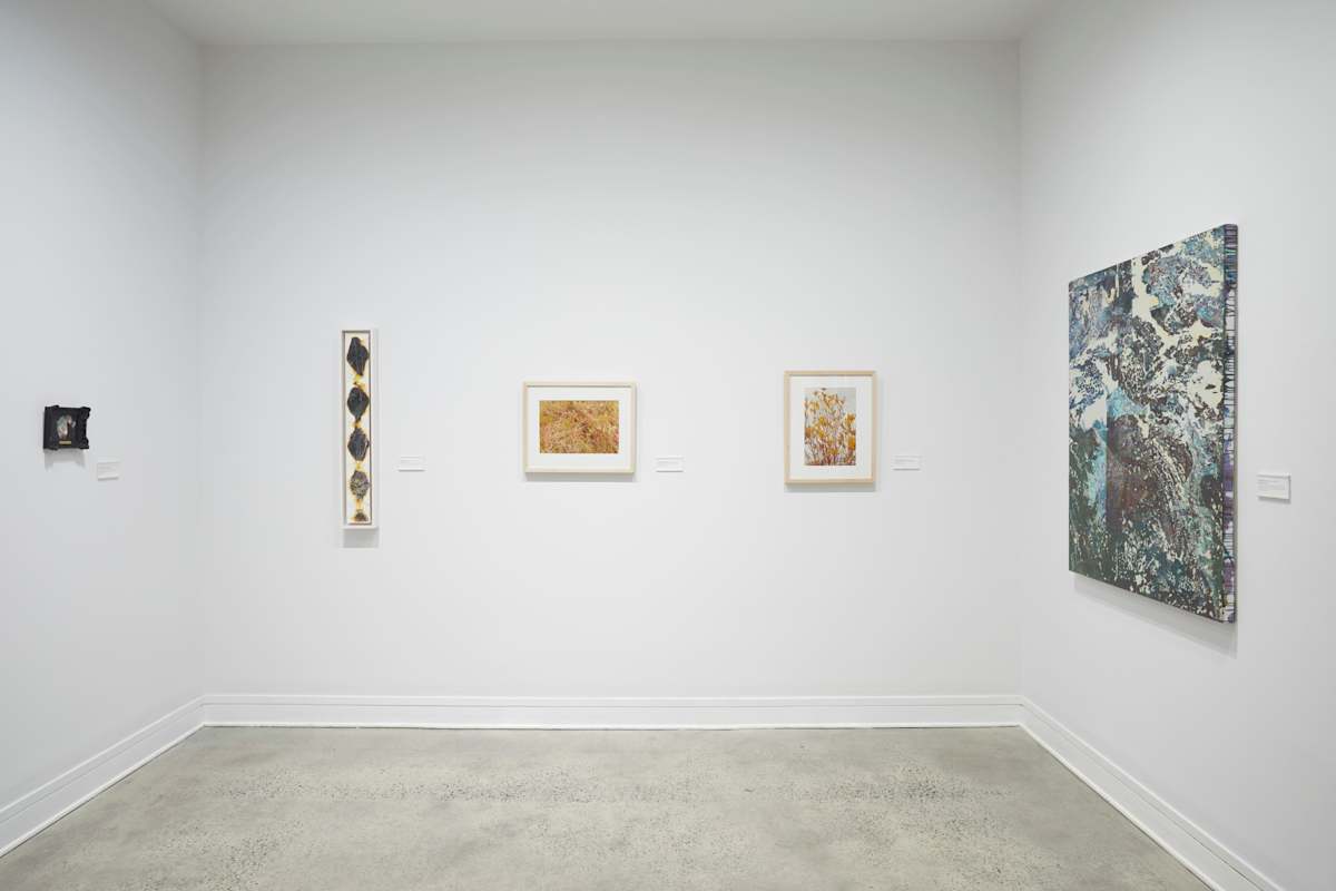 Exhibition Image