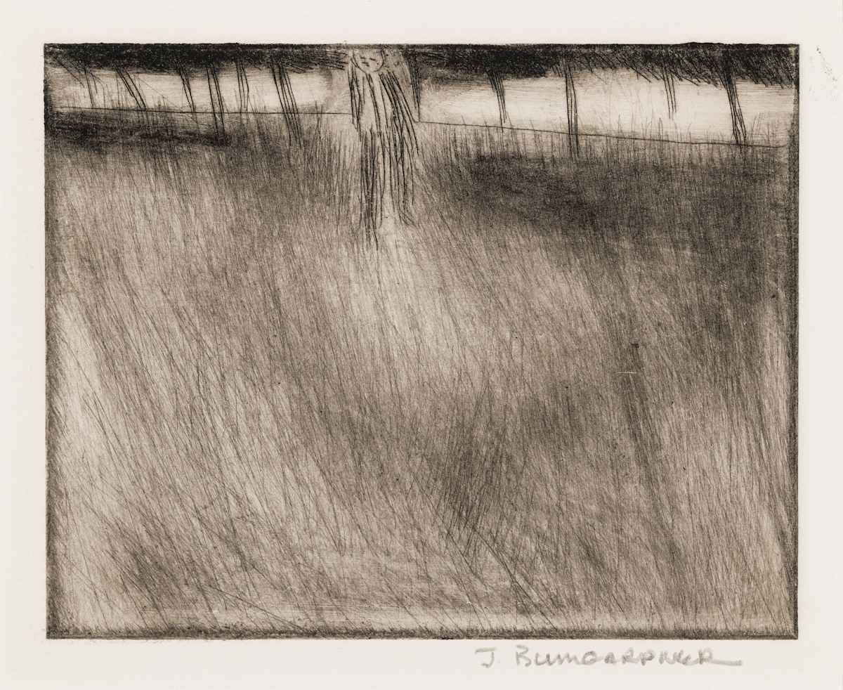 Untitled by James Arliss Bumgardner, Image 1.