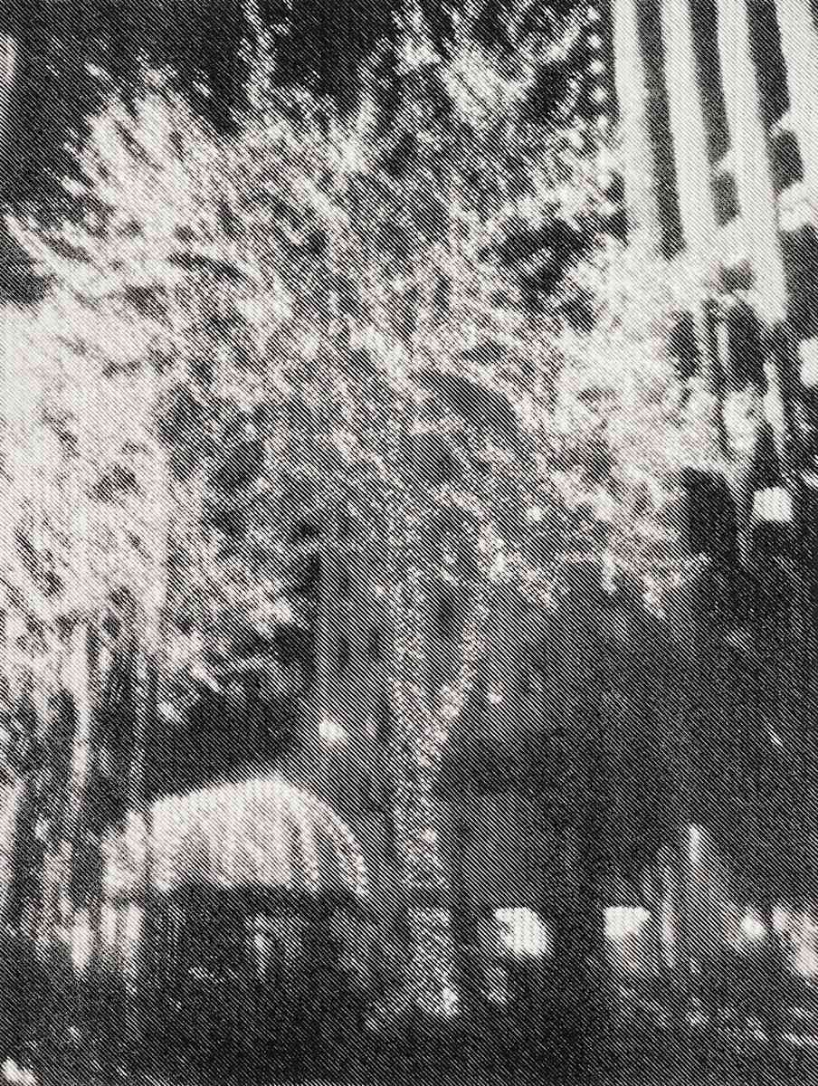 New York by Ewan Gibbs, Image 1.