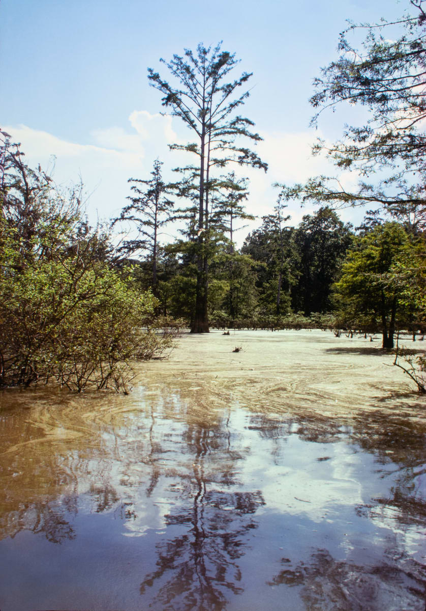 Wes Carter Lake, Warren County, Mississippi, 1974 by William R. Ferris 