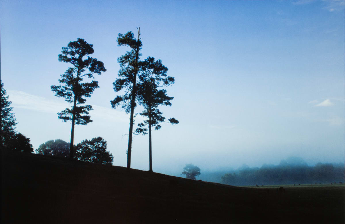 Rose Hill Church pasture, Fisher Ferry Road, Waren County, Mississippi, 1976 by William R. Ferris 