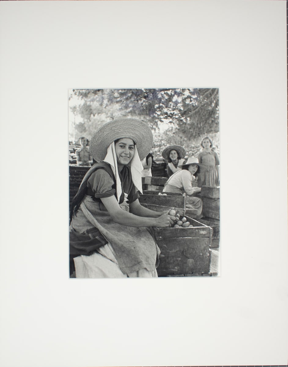 Group - Processing Apricots by Todd Webb, Image 1.