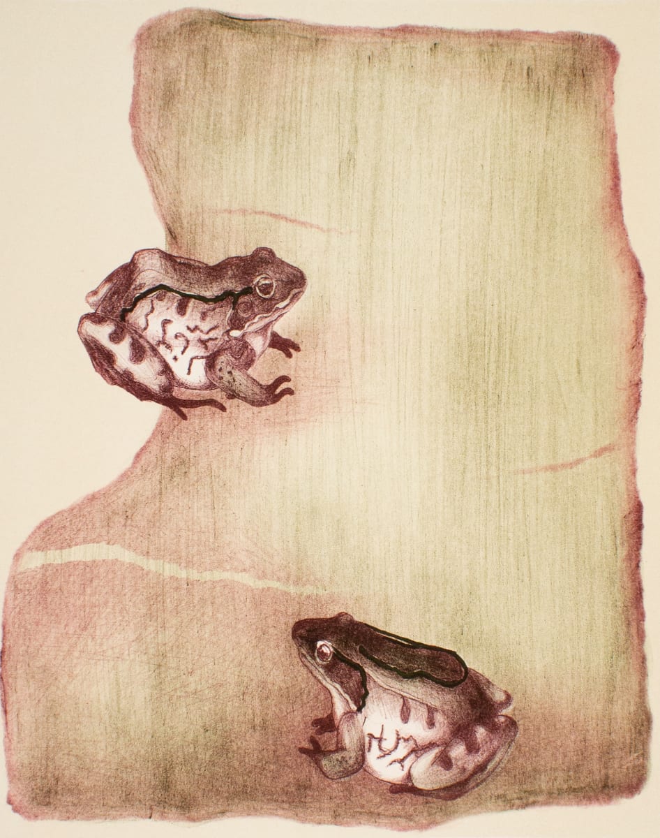 Sitting Frogs by Gay Rogers 
