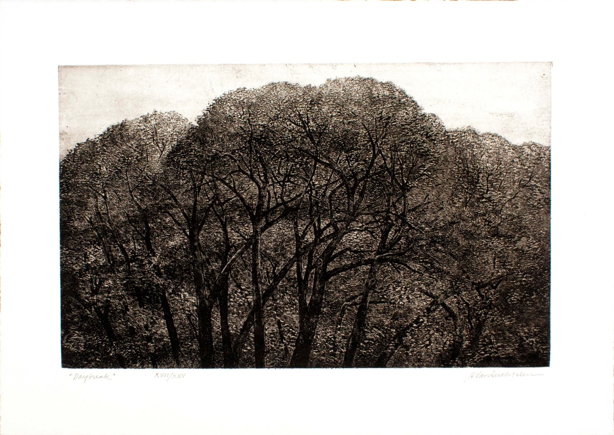 Daybreak by Adrian Van Suchtelen, Image 1.