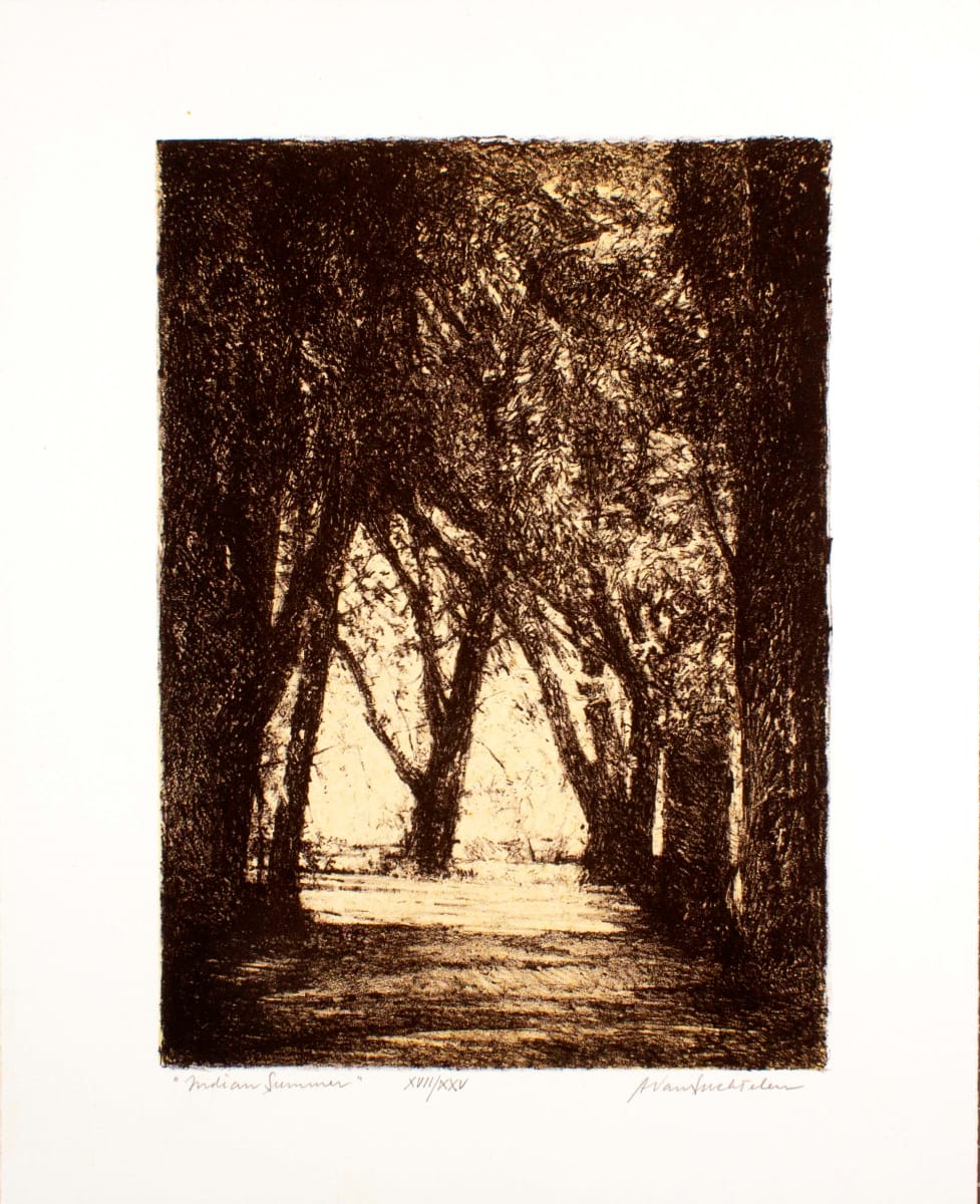 DrIndian Summer by Adrian Van Suchtelen, Image 1.