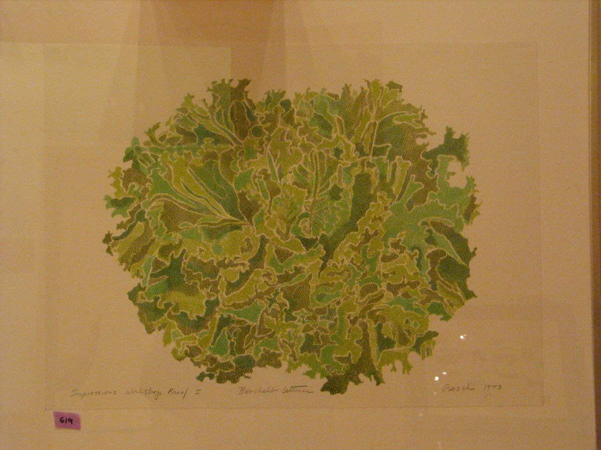 Borchelt Lettuce by Laura Grosch, Image 1.