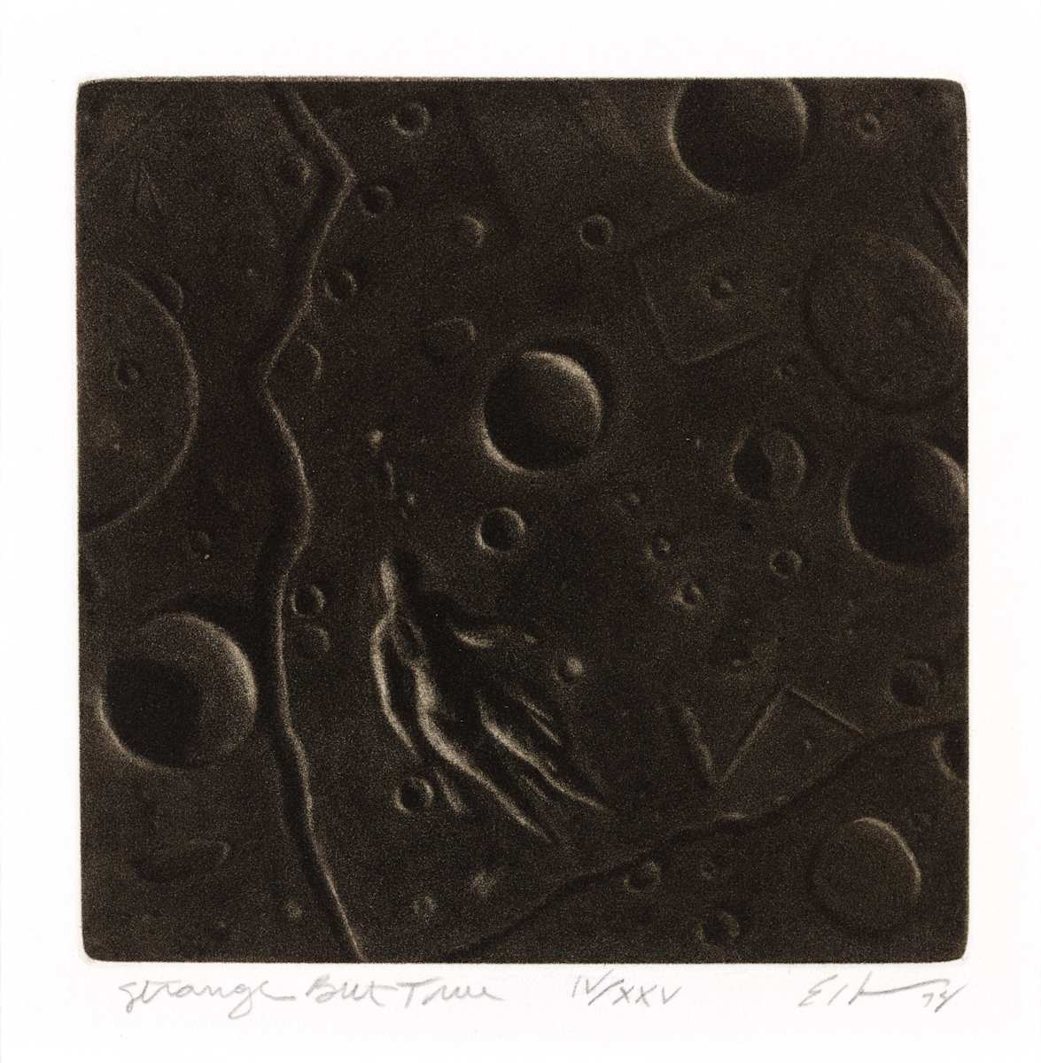 Strange But True by Robert Ecker, Image 2.