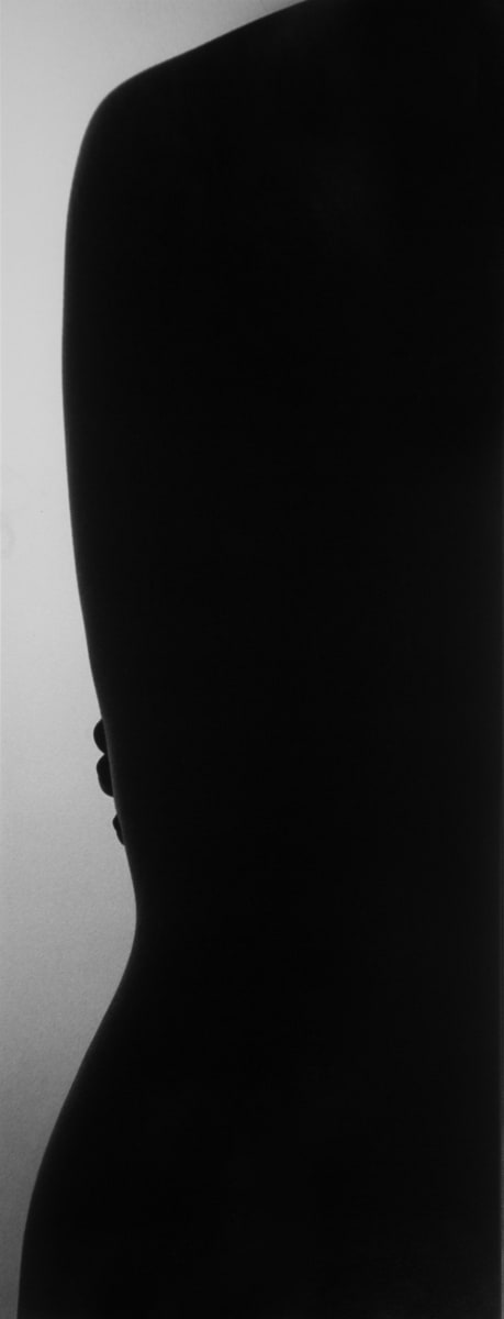 Torso by Steve Small, Image 1.
