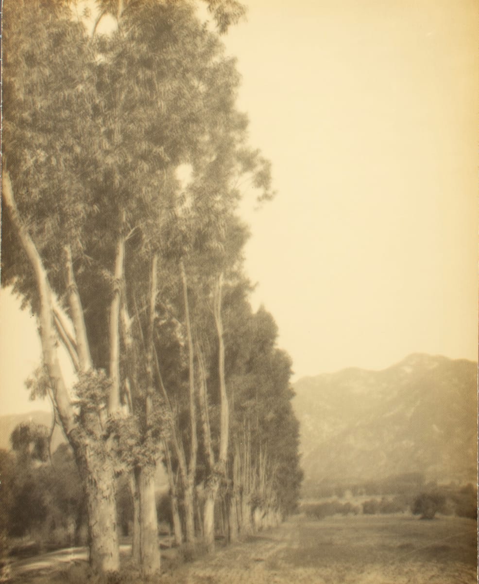 Untitled by Leopold Hugo, Image 1.