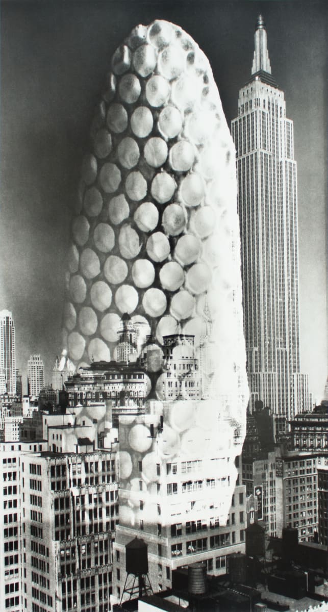 Wild-Bee-Honeycomb Skyscraper by Barbara Morgan 