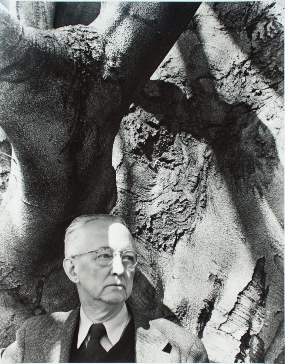 Charles Sheeler and His Favorite Beech Tree by Barbara Morgan, Image 1.