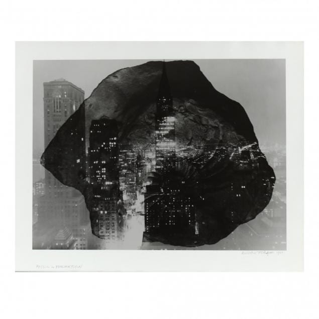 Fossil in Formation by Barbara Morgan, Image 1.