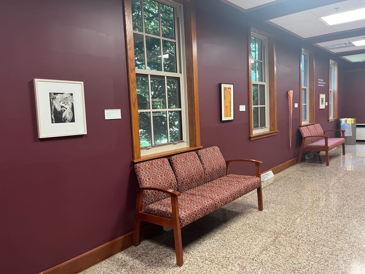 Exhibition Image
