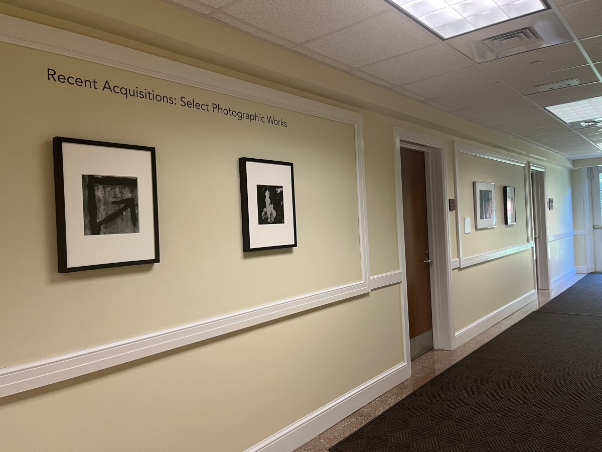 Exhibition Image