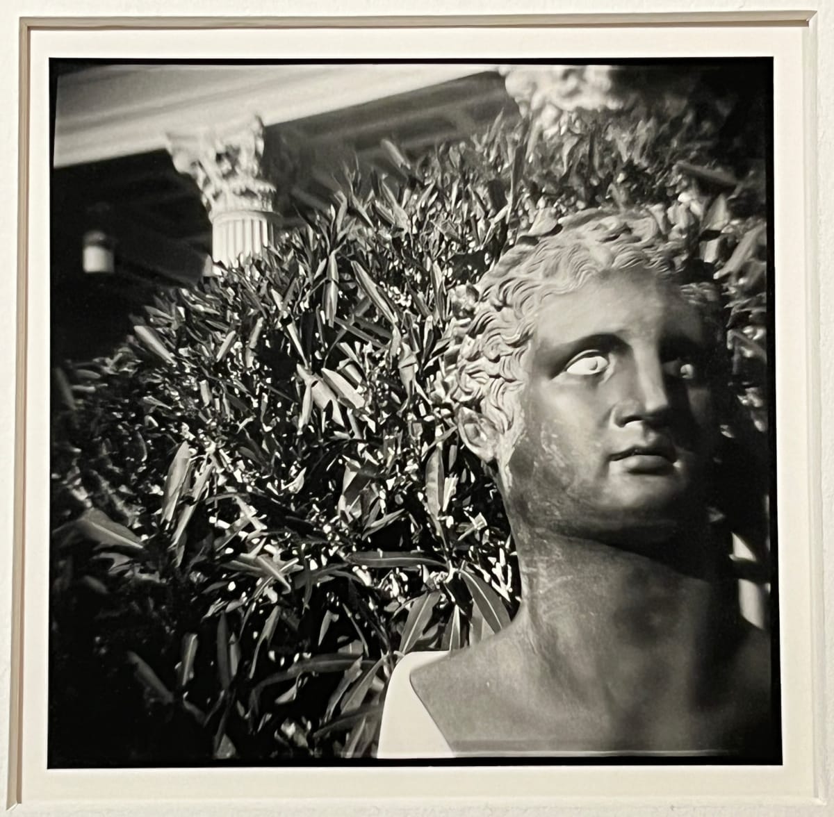 Untitled by Barbara Gilson, Image 2.
