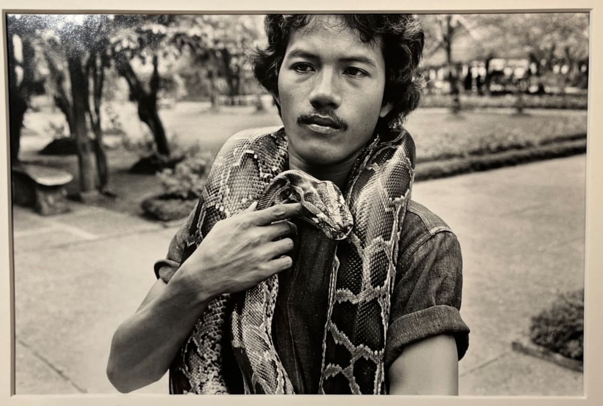 Man with Snake, Bangkok by Stephen Perloff, Image 1.
