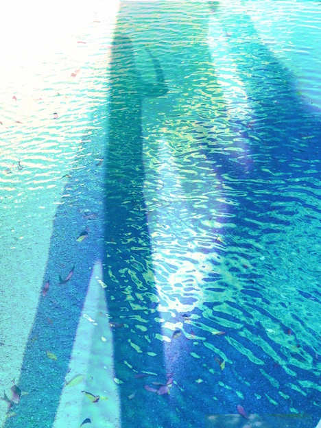 The Water Walker by Jane Jennings, Image 1.