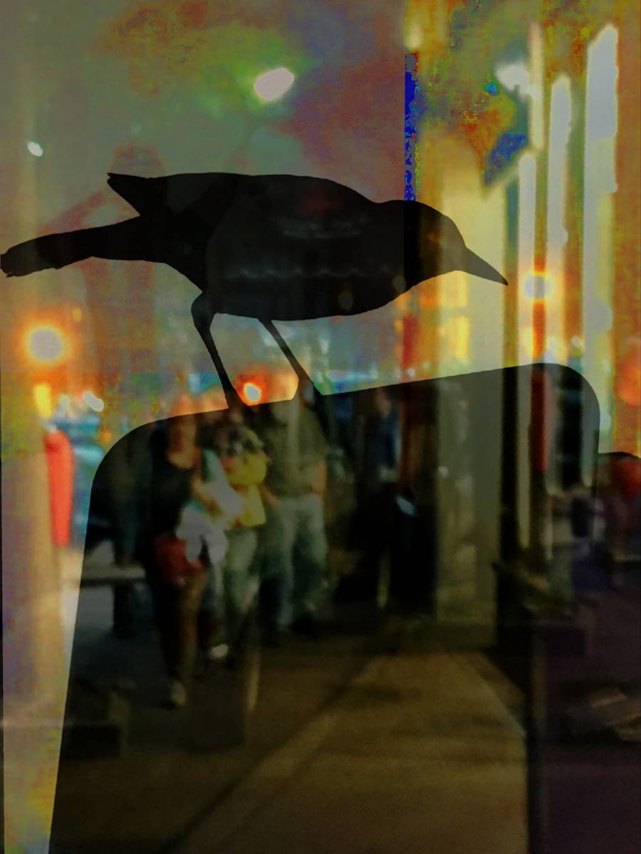 Old Crow by Jane Jennings, Image 1.