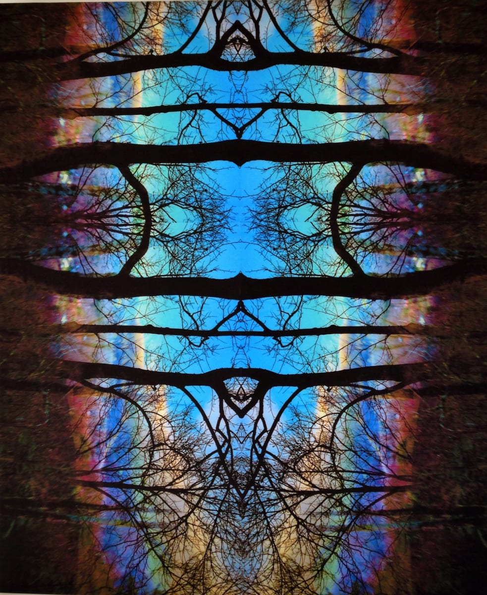 Tree Lines by Jane Jennings, Image 1.