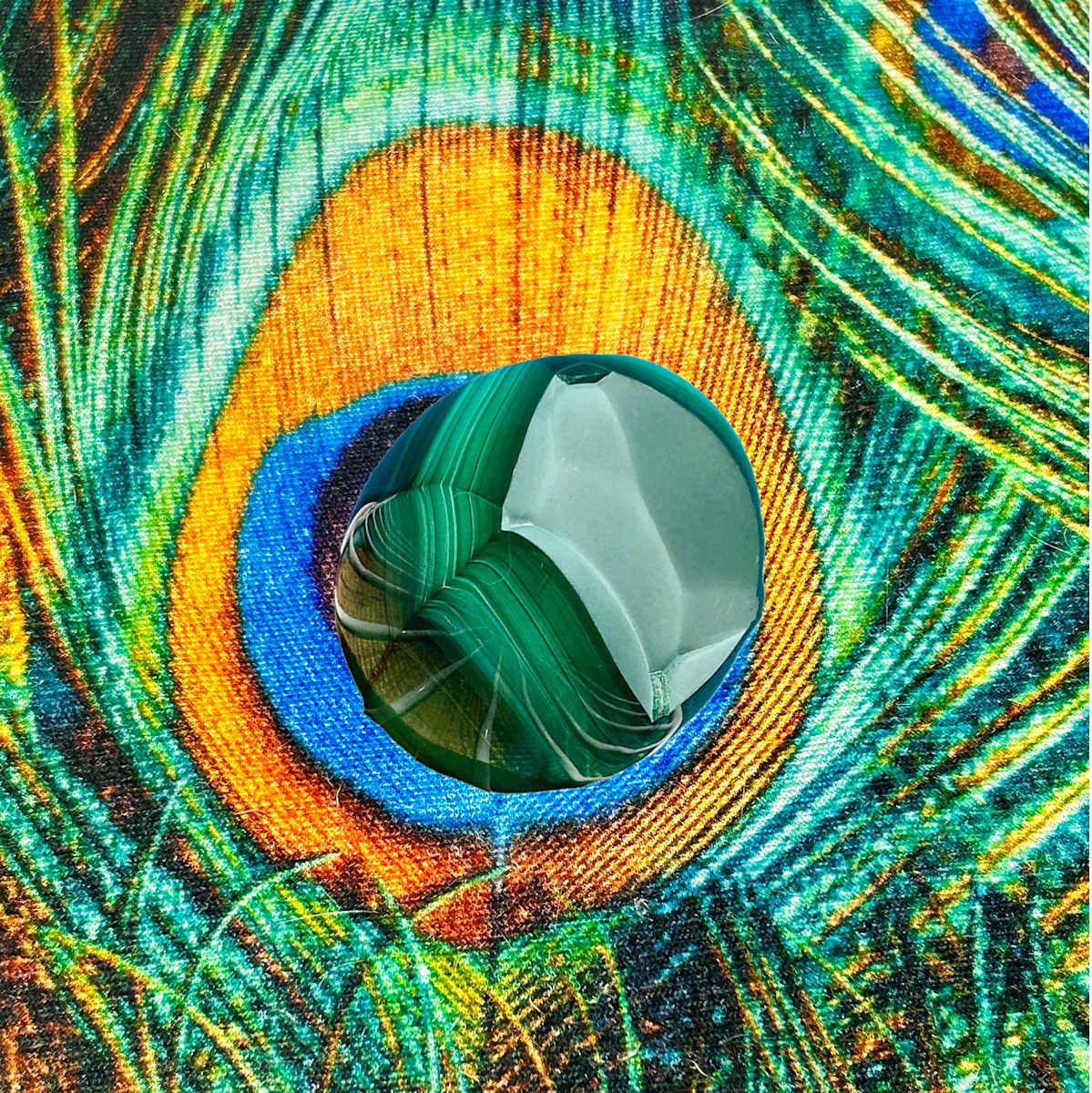 CHROMA FIELDS by ISSA, Image 1.